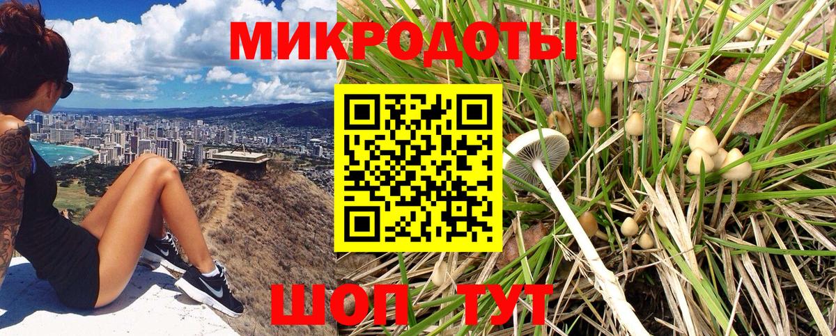 Псилоцибиновые грибы Psilocybine cubensis  Галлюциногенные грибы Magic Shrooms  Новосибирск  что такое наркотик  Вход с VPN 