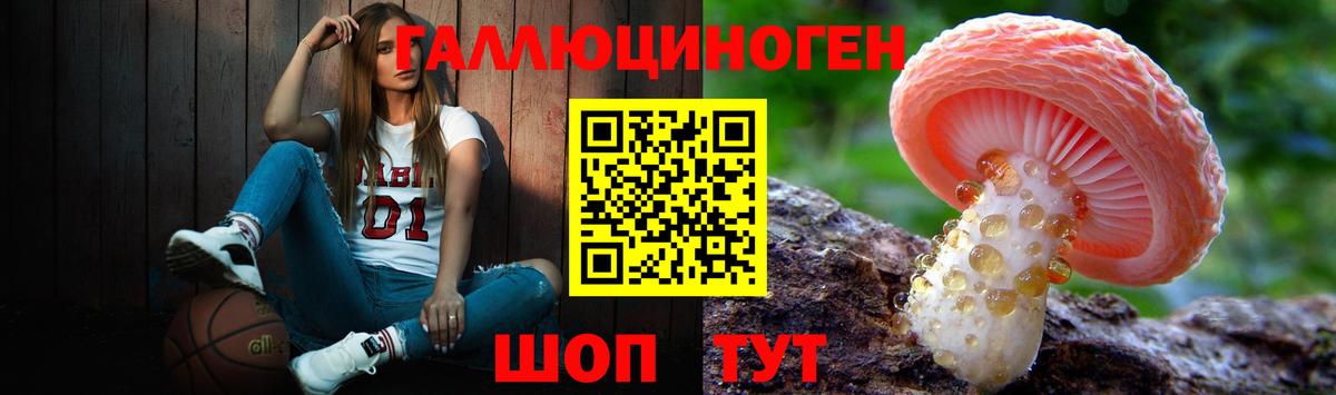 Псилоцибиновые грибы ЛСД Новосибирск